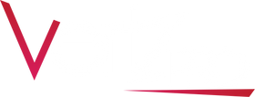 VertzProGroup